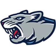 Mountain Lion head in sports stylization